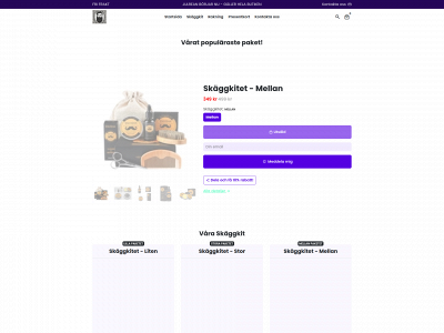 skaggkitet.se snapshot