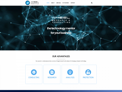 amselco.com snapshot