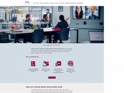 virtual-senior-level-event-services.com snapshot