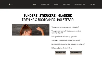 stinnabriks.dk snapshot