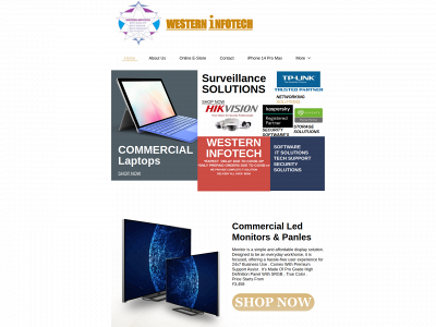 westerninfotech.in snapshot