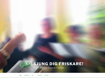 catmusik.se snapshot