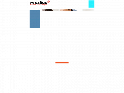 vesaliusmt.com snapshot