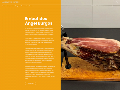 embutidosangelburgos.com snapshot