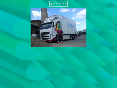 arason.se snapshot