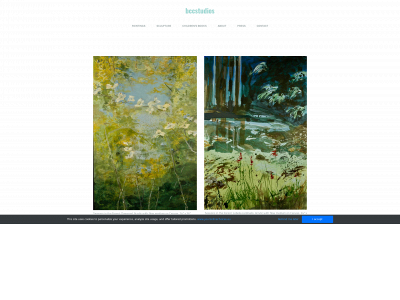 www.bcc-studios.com snapshot