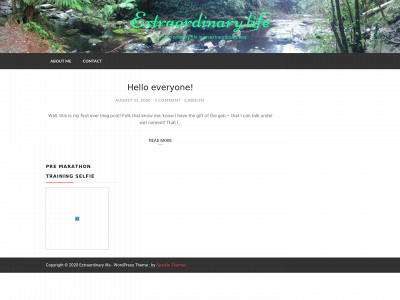 extraordinarylife.site snapshot