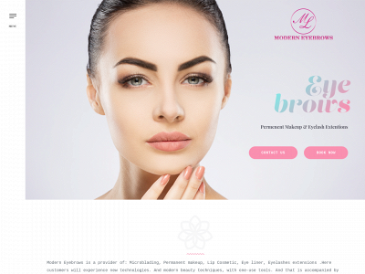 moderneyebrows.com snapshot