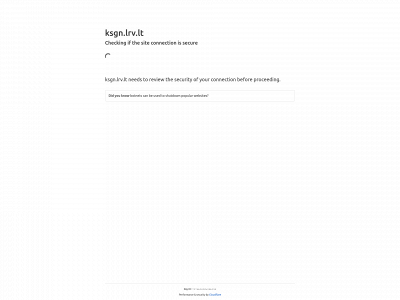 ksgn.lt snapshot