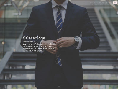 saleseology.com snapshot
