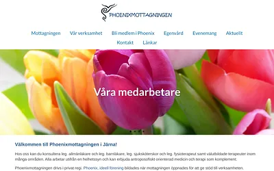 phoenixmottagningen.nu snapshot