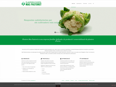 maspastoret.com snapshot