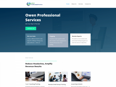 owenprofessionalservices.com snapshot