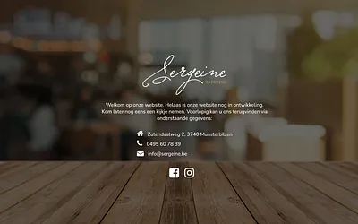 sergeine.be snapshot