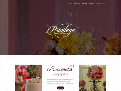 privilegesalondeeventos.com snapshot
