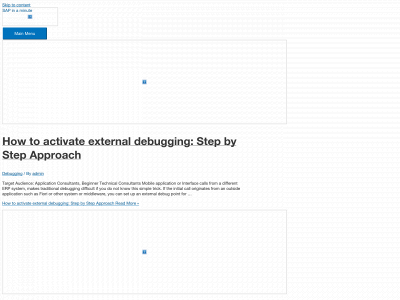 sapinaminute.com snapshot