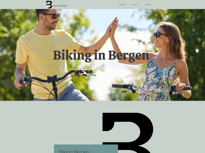 vendeljohansen.no snapshot