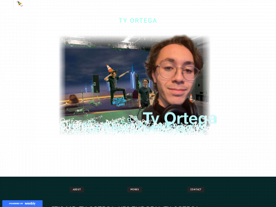 tyortega.weebly.com snapshot