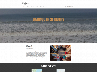 barmouthstriders.co.uk snapshot