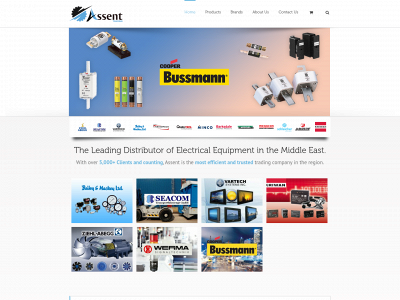 assent.co.ae snapshot