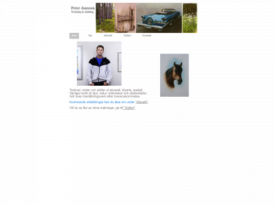 peterjanssonart.com snapshot