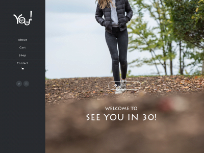 seeyouin30.com snapshot