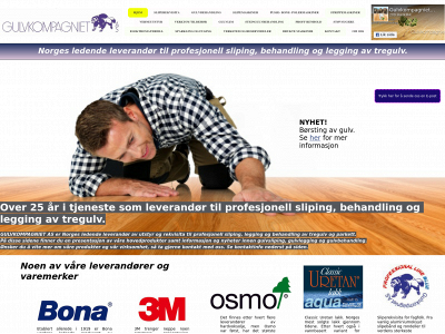 tiptopslipeprodukter.no snapshot