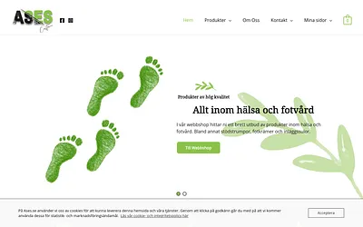 ases.se snapshot
