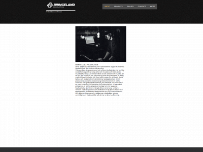 bringproduction.se snapshot