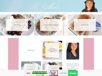 melsss.nl snapshot