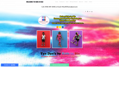 www.kidsinbiz1.org snapshot