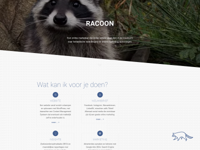 racoonmarketing.nl snapshot