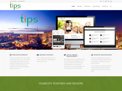www.itips.co.ke snapshot