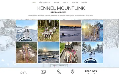 mountlink.no snapshot