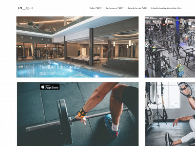 pushcenters.com snapshot
