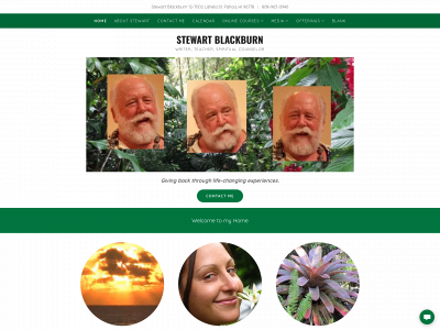 stewartblackburn.com snapshot