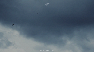 tylertindale.com snapshot