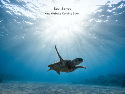 soulsandy.com snapshot