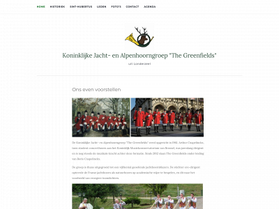 thegreenfields.be snapshot