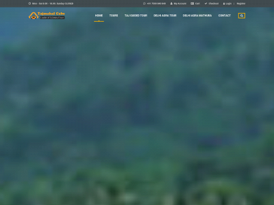 tajmahalcabs.com snapshot