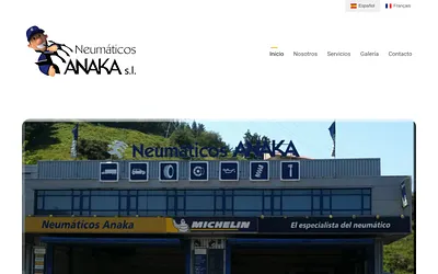 neumaticosanaka.es snapshot