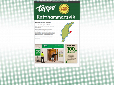 tempokattvik.se snapshot