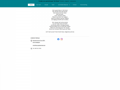 therapiedevlinder.be snapshot