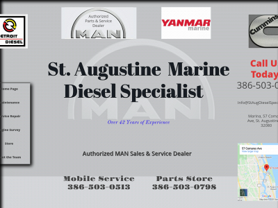 staugdieselspecialist.com snapshot