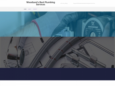 woodlandsbestplumbingservices.com snapshot