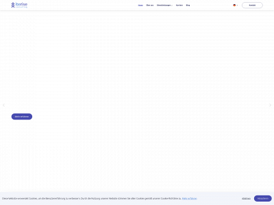 iterise.consulting snapshot