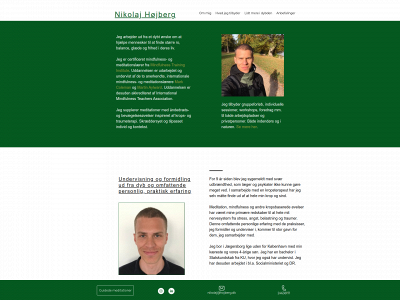 hojberg.dk snapshot