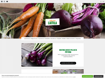 vihanneslaitila.fi snapshot