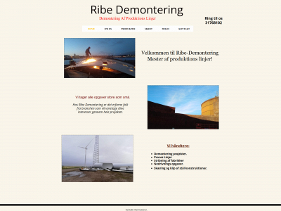 ribe-demontering.dk snapshot
