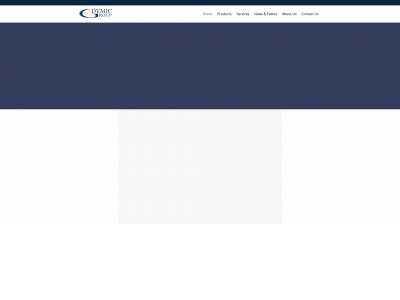 dymicgroup.com snapshot